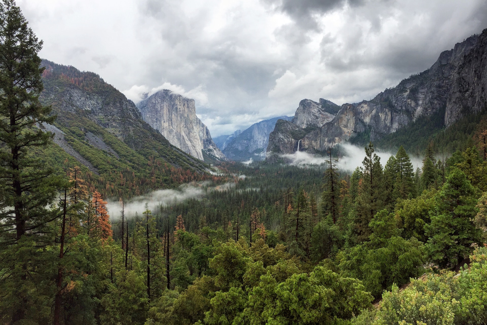 Dolina Yosemite: odwiedź jeden z cudów natury Yosemite National Park